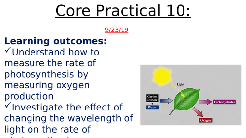 IAL Core Prac 10 - Investigate effects of light intensity and wavelength  on rate of photosynthesis
