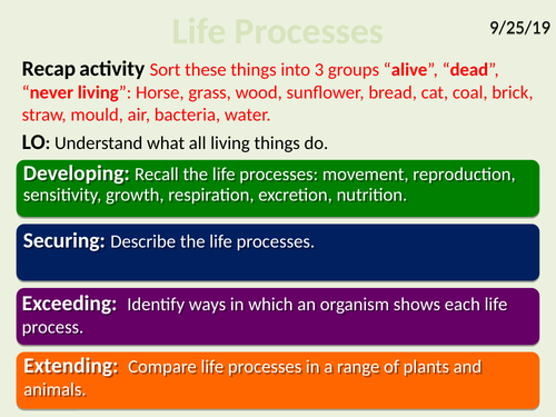 Exploring Science 7A- Cells, Tissues, Organs and Systems