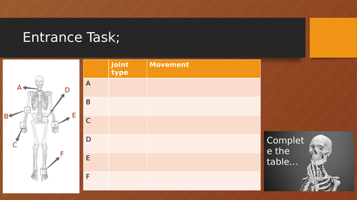 Applied Science Unit 8 Functions of the Musculoskeletal System with entrance tasks/recap activities