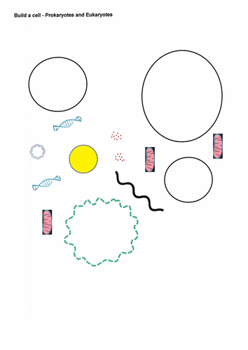 Build a cell - Prokaryotes and Eukaryotes