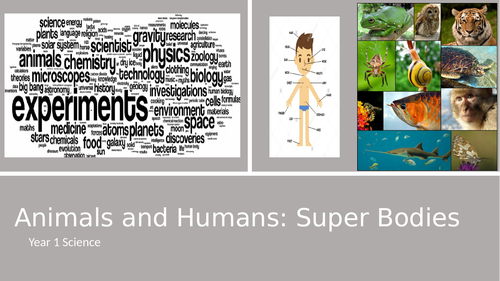 Super me, super bodies