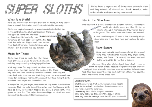 Year 5 The Explorer - Katherine Rundell- Sloths- Comprehension Task