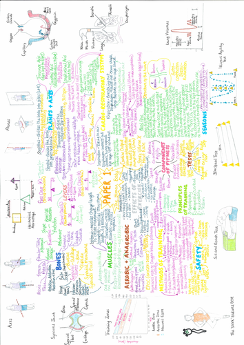 AQA GCSE PE (1-9) Paper on a Page