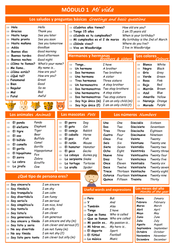 Spanish KS3 - Viva 1 /Module 1 - Vocab sheet and revision activities