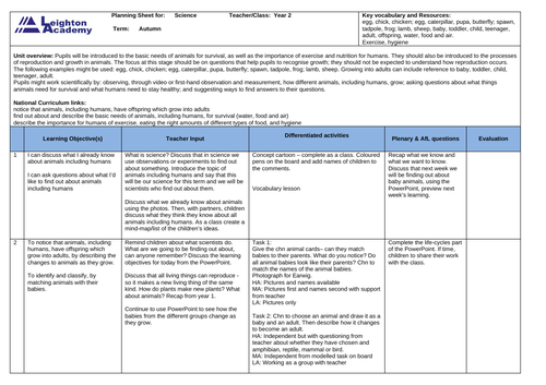 Science planning Year 2 Animals including humans  - 8 lessons
