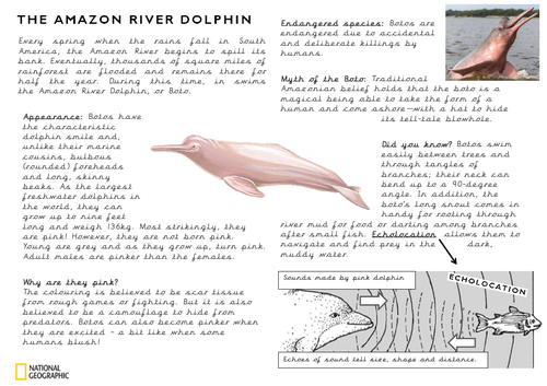 The Explorer Comprehension Task Amazon Pink River Dolphin Teaching Resources