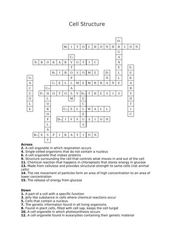 Cell Strucuture Crossword - Modifiable