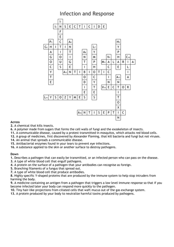 Infection and Response Crossword
