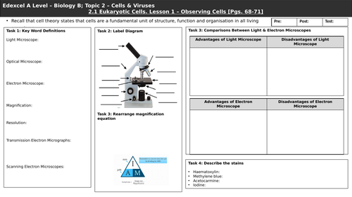 Edexcel Biology B A Level. Topic 2 - Cells & Viruses. 2.1 Eukaryotic Cells