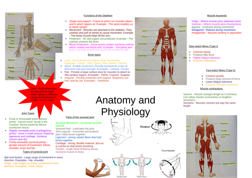 Cambridge IGCSE PE Knowledge Organiser - Anatomy and Physiology