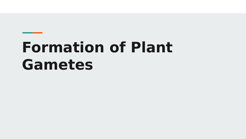 Formation of Plant Gametes Powerpoint