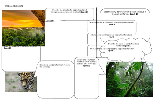 AQA Living World - Tropical Rainforests knowledge organiser