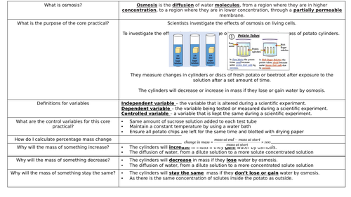 Osmosis Knowledge organiser and test