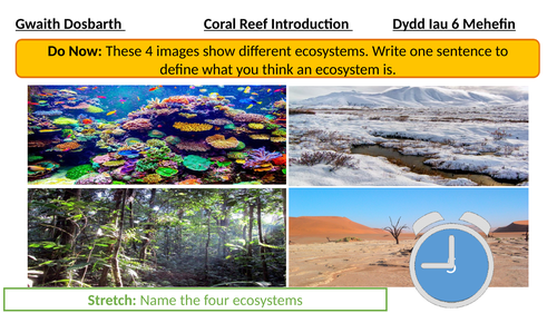 Where are coral located