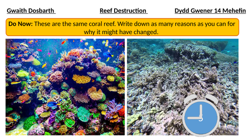 Coral reef uses