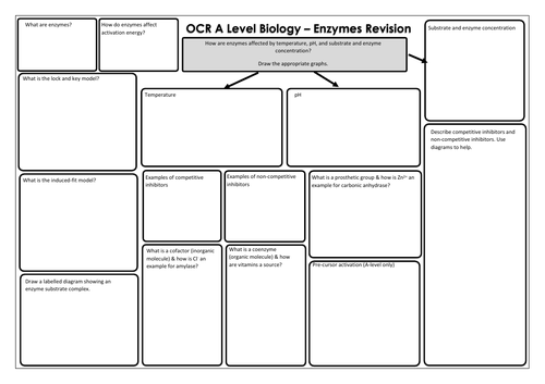 OCR A Level Biology - Enzymes Revision Mat