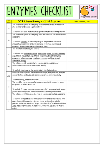 OCR A Level Biology - Enzymes Checklist