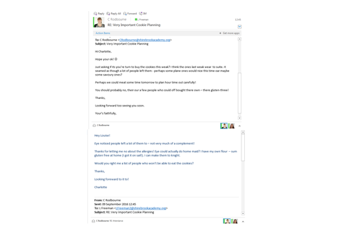 Whole School Literacy CPD - Homophones - Homonyms