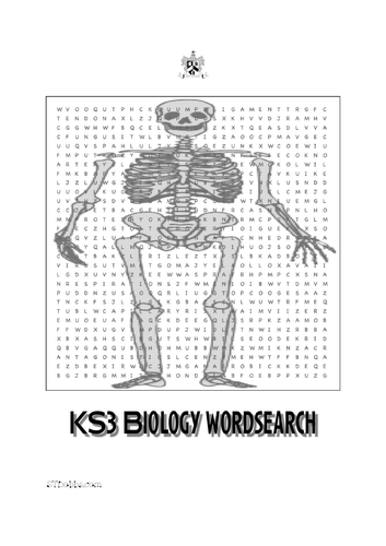 KS3 biology word search