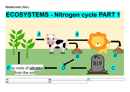 Nitrogen cycle - Part 1 worksheet