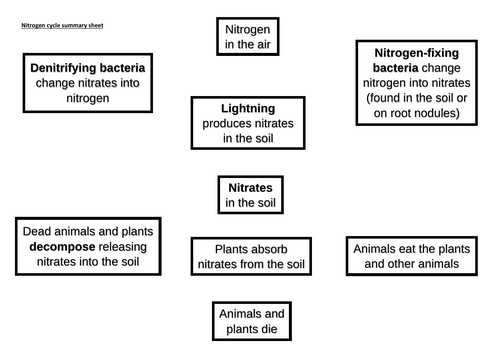 Nitrogen cycle summary sheet