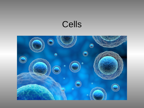 Cells- Animal and Plant cell - Quiz