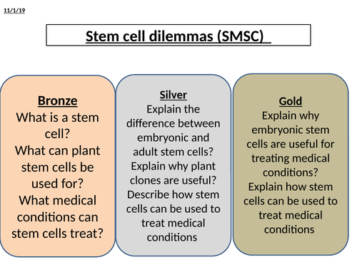 B2.4 stem cell dilemmas