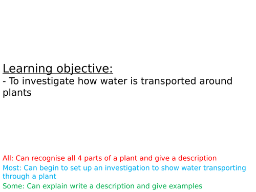 Water transportation in plants - Investigation