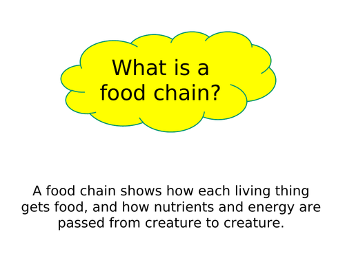 Food chains - producers, consumers and decomposers