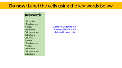 Specialised Cells