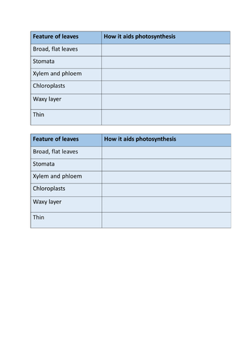 Factors Affecting Photosynthesis