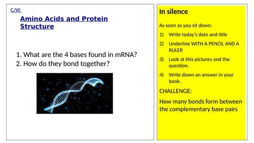 Amino Acids and Protein Structure