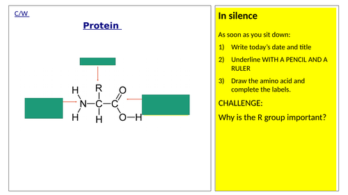 Fibrous and Globular Proteins