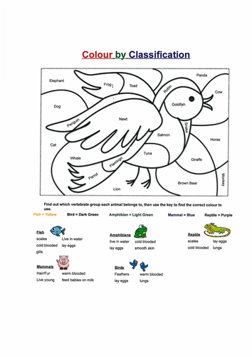 Colour by Classification