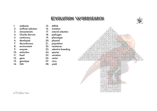 Evolution word search
