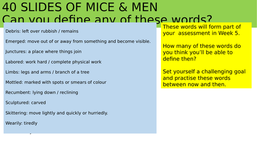 40 SLIDES OF MICE & MEN