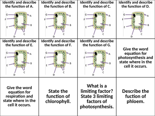 Year 9 - Plant Growth Revision Question Cards