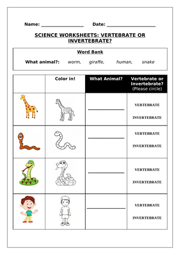 Primary Teaching Resources: Activities for KS1 and KS2 | Tes