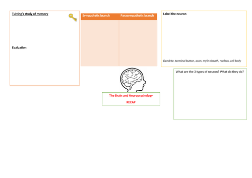 GCSE Psychology- AQA- Brain and Neuropsychology revision