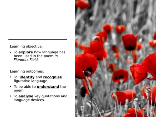 In Flanders Field for year 7