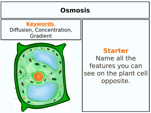 Osmosis Introduction lesson AQA GCSE