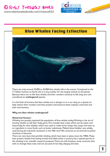 Blue Whales Facing Extinction Information Sheet