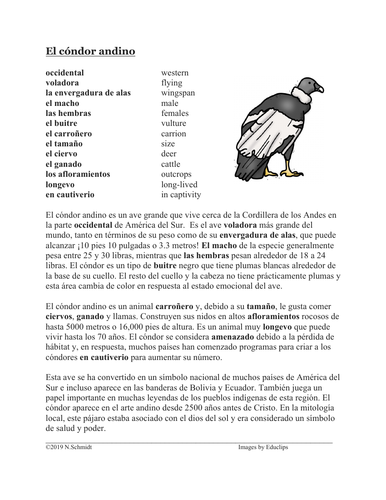 El Cóndor Andino Lectura y Cultura: Spanish Reading on Andean Condor