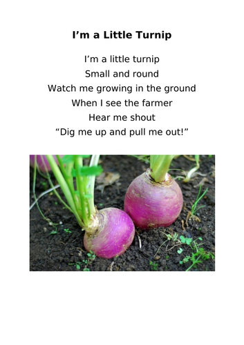 I'm a little turnip song