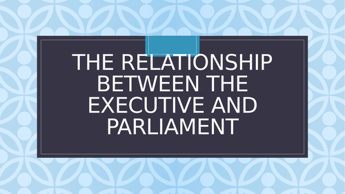 Parliament and the executive