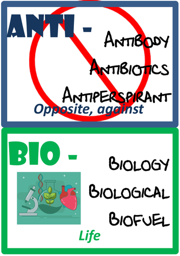 Science Display - Morphology