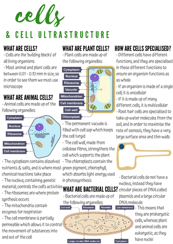 AQA GCSE BIOLOGY CELL STRUCTURE