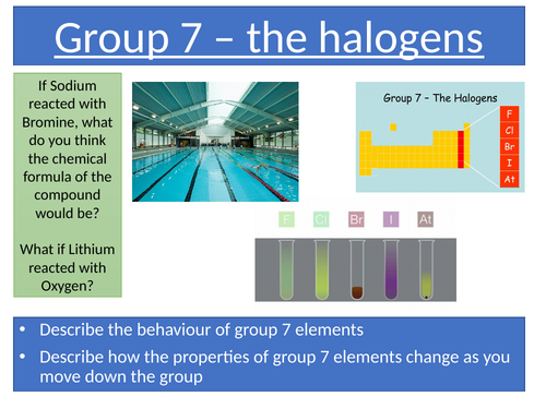 another name for elements in group 7