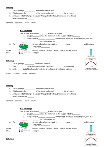 Breathing/Ventilation/Gas Exchange Gap Fill/Cloze