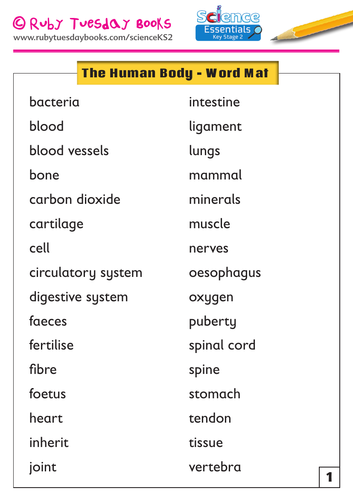 The Human Body - Key Word Mat